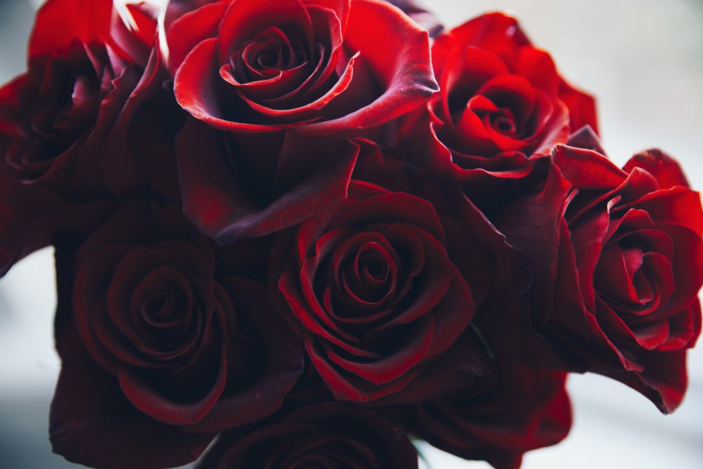 close-up-red-rose-bouquet_4460x4460.jpg